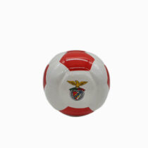 Mealheiro-do-benfica